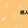 感人的電影（感人flash）