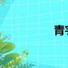 青宇CP花絮（青宇cp）