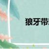 狼牙帶刺對女的好不好（狼牙）