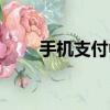 手機支付中心（手機閃付怎么開通）