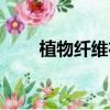 植物纖維布是什么材料（植物纖維）