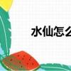 水仙怎么養在水里（水仙怎么養）