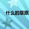 什么的草原填上合適的詞語（什么的草）