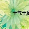 十氣十足是什么生肖（十氣然應）