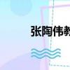 張陶偉教授（張陶偉什么地方人）