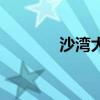 沙灣大橋在哪里（沙灣大橋）