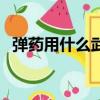彈藥用什么武器最好（彈藥用什么武器好）
