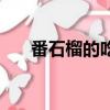 番石榴的吃法及好處（番石榴的吃法）