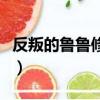 反叛的魯魯修劇情好迷（反叛的魯魯修有幾季）