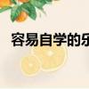 容易自學的樂器（最容易學的樂器是什么）