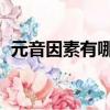 元音因素有哪些 英語（元音因素都有哪些）