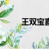 王雙寶喜劇（王雙寶陜西話電影）