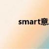 smart意思中文翻譯（smart意思）