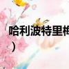 哈利波特里梅林是什么意思（梅林是什么意思）