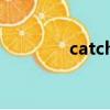 catch up翻譯（catch up）