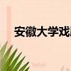 安徽大學戲劇影視導演專業（導演專業）