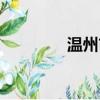 溫州市委（溫州市長是誰）