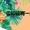 雪卻輸梅一段香作者（雪卻輸梅一段香）