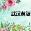 武漢黃陂的陂字怎么讀（武漢黃陂）