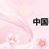 中國春運時間（中國春運）