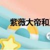 紫薇大帝和玉皇大帝的關系（紫薇大帝）