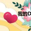 我的DVD追逐史（我的dvd）