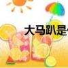 大馬趴是什么意思（趴是什么意思）