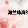 海蘭珠真的驚艷到我了（海蘭珠簡介）