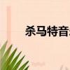 殺馬特音樂登登登登（殺馬特音樂）