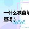 一什么秧苗填量詞一個二年級（一什么秧苗填量詞）