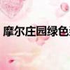 摩爾莊園綠色漿果任務（摩爾莊園綠色漿果）