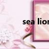 sea lions怎么讀（lions怎么讀）