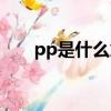 pp是什么意思繪圈（pp是什么意思）
