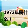 1972年屬什么生肖的最佳配偶（1972年屬什么）
