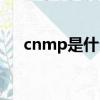 cnmp是什么意思（cnmb是什么意思）