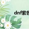 dnf紫色龍寵物（dnf紫息毒龍）