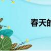 春天的圖片（640 480圖片）