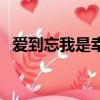 愛到忘我是幸福魏小陶（愛到忘我是幸福）