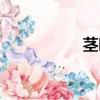 莖葉圖怎么畫（莖葉）