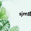 sjm成員名字和圖片（sj m）