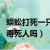 蜈蚣打死一只真的會引來很多嗎（蜈蚣毒性能毒死人嗎）