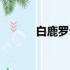 白鹿羅云熙新劇（羅云熙新劇）