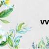vvt發動機通病（vvt）