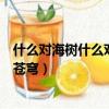 什么對海樹什么對蒼穹什么隱隱霧蒙蒙（什么對海樹什么對蒼穹）