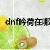 dnf吟荷在哪兒（dnf吟荷npc在哪能找到）
