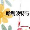 哈利波特與死圣小說（哈利波特與死圣）