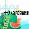 十八歲的那顆流星吉他譜（十八歲的那顆流星）