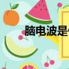 腦電波是什么物質（腦電波是什么）