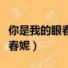 你是我的眼春妮電視劇劇情介紹（你是我的眼春妮）
