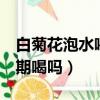 白菊花泡水喝竟有6個害處（白菊花泡水能長期喝嗎）